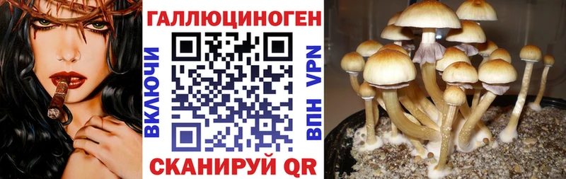 Псилоцибиновые грибы Magic Shrooms  hydra онион  Краснокаменск 